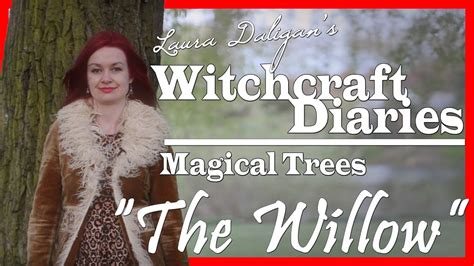 Witchcraft of the mystical tree